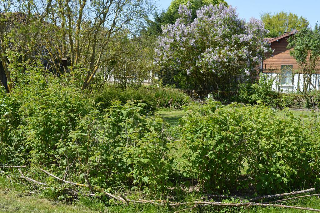 Au Passage Des Grues Bed & Breakfast Drosnay Bagian luar foto