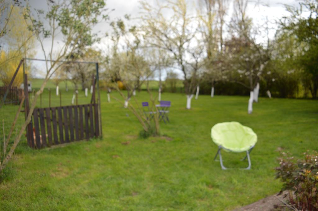 Au Passage Des Grues Bed & Breakfast Drosnay Bagian luar foto