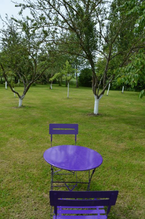 Au Passage Des Grues Bed & Breakfast Drosnay Bagian luar foto